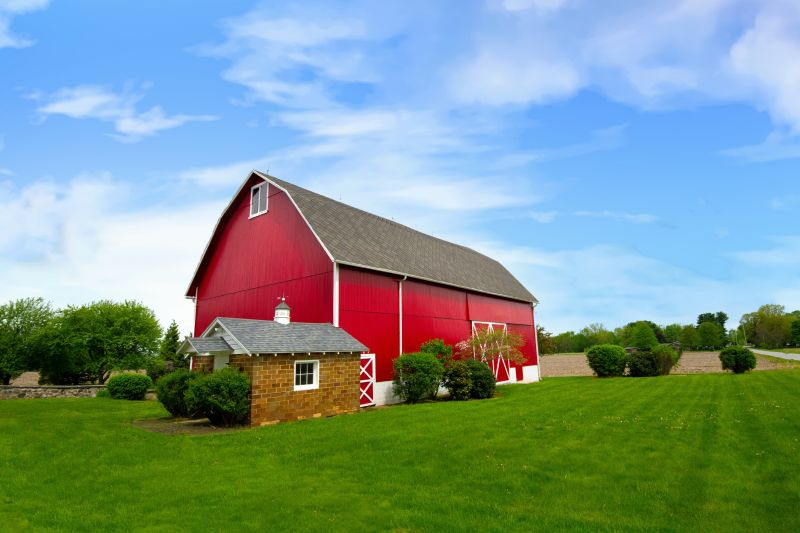 Barn Wall Repair in Overland Park, KS