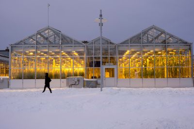Greenhouse Construction detail