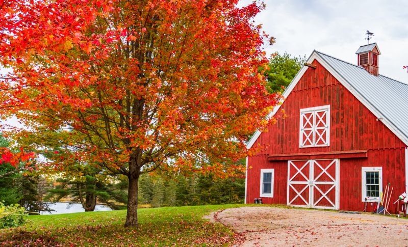 Barn Renovation in Conroe, TX
